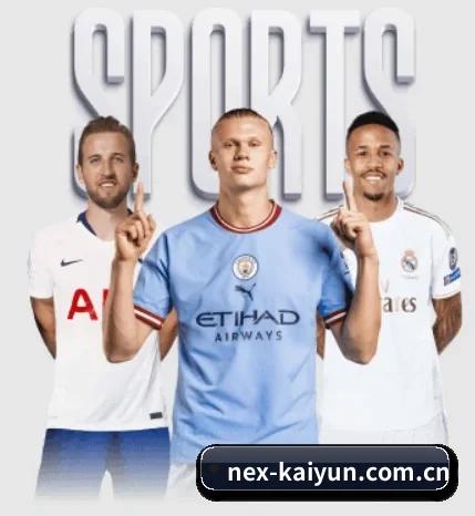 nex-kaiyun.com.cn的故事